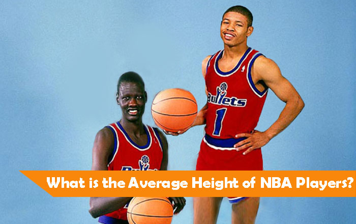 what-is-the-average-height-of-nba-players-sorted-by-positions