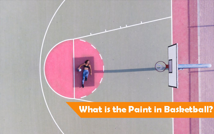 What Is The Paint In Basketball What Is The Paint In Basketball